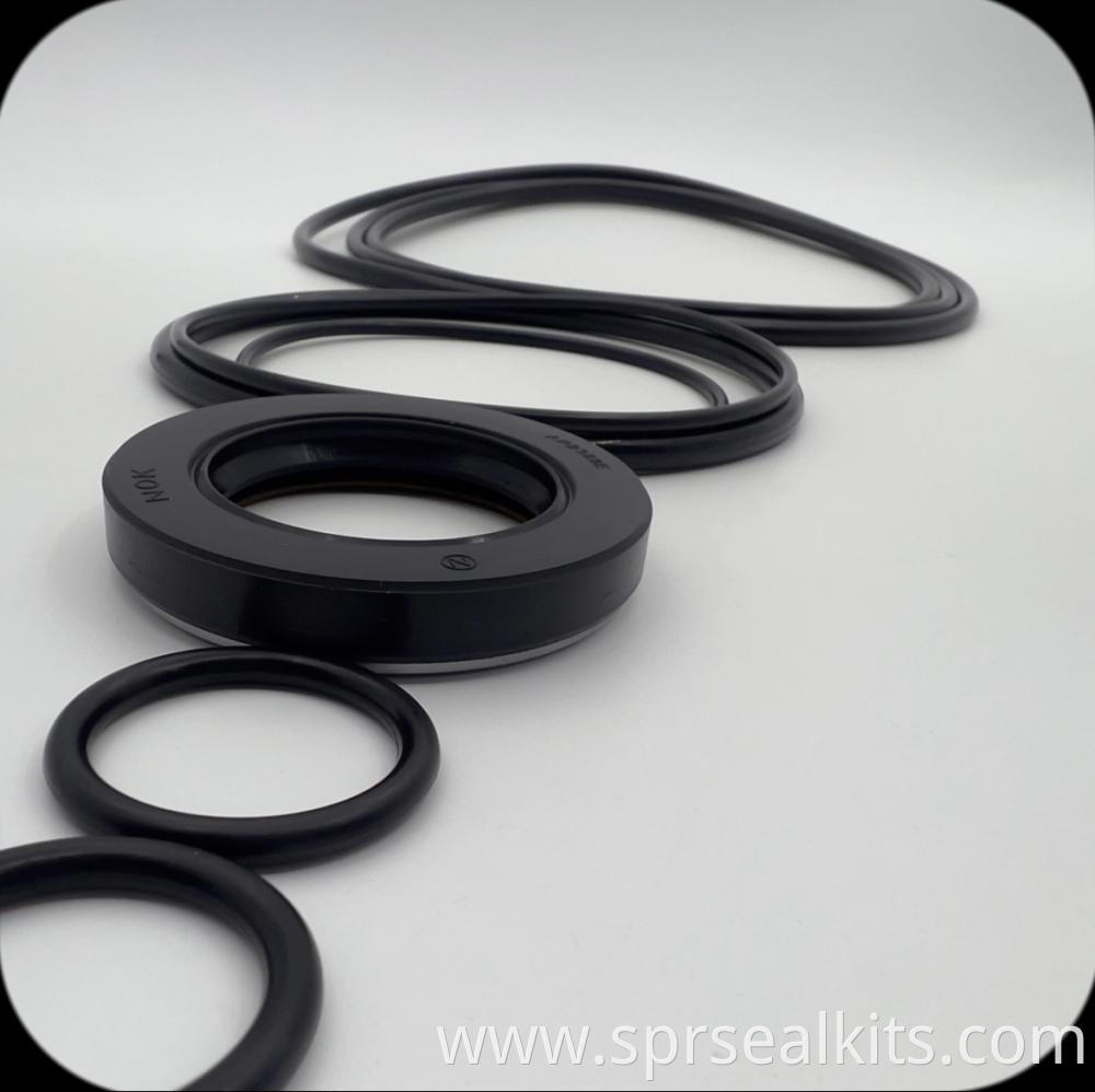 Swing Motor Seal Kit 2